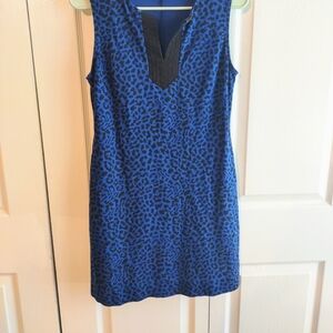 New York & Company Blue Animal Print Mini Dress